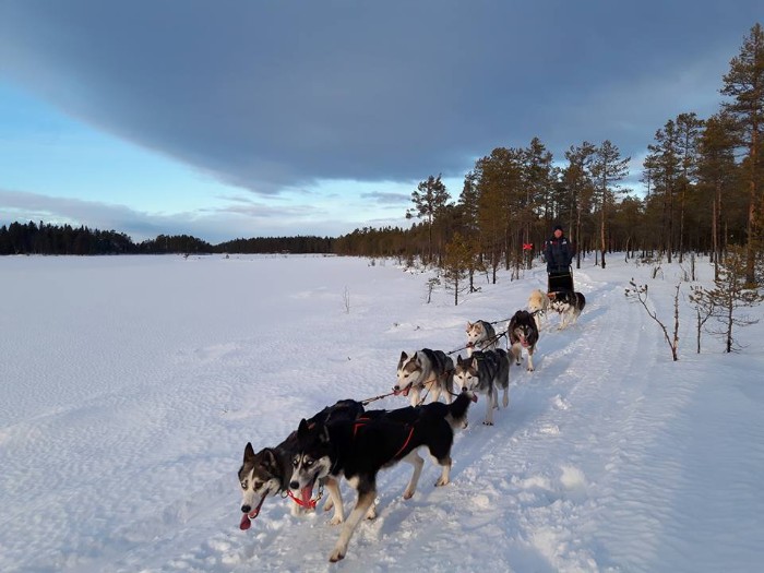 Tour in Schweden